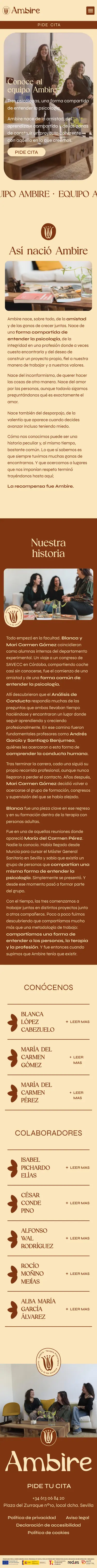 Ambire Psicología · Equipo Ambire · Móvil
