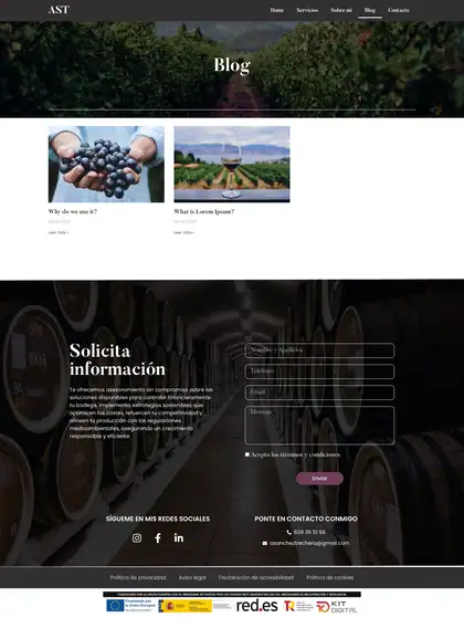 AST Consulting · Blog