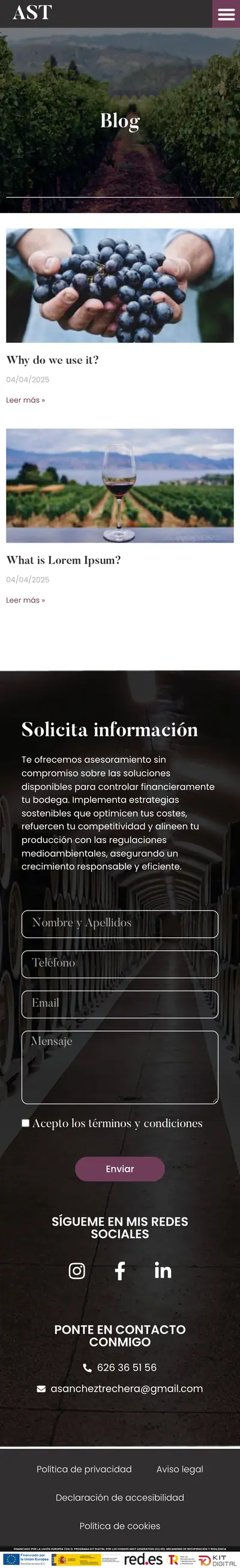 AST Consulting · Blog · Móvil