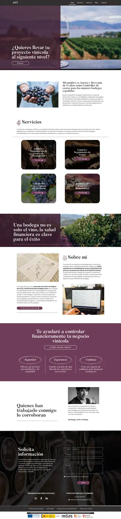 AST Consulting · Inicio