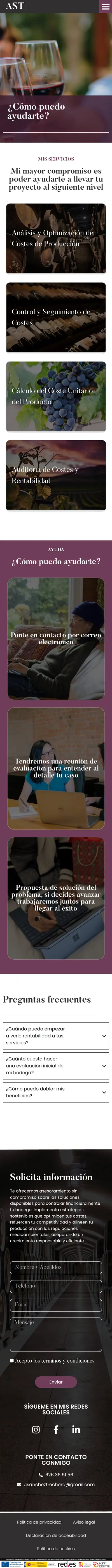AST Consulting · Servicios · Móvil