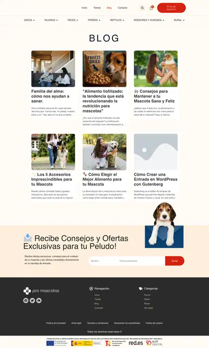 Zoorpresa · Blog